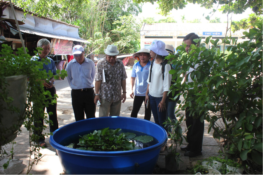 Instruction on using fish tanks for dengue fever prevention