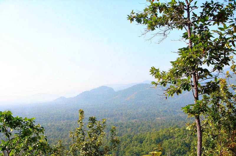 Seub Nakasathien became superintendant of the Huai Kha Khaeng wildlife sanctuary, where he was later found dead. Credit: Teeradondon: CC by 3.0